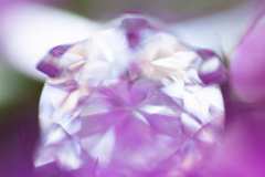 Daniel_Clements_Photography_0003_4543